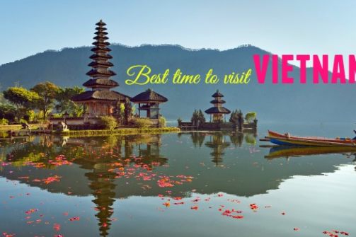 Where to Buy Souvenirs & More